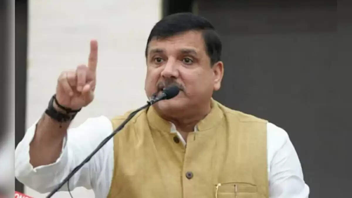 संसद में कुलियों की समस्याओं को उठाएंगे संजय सिंह