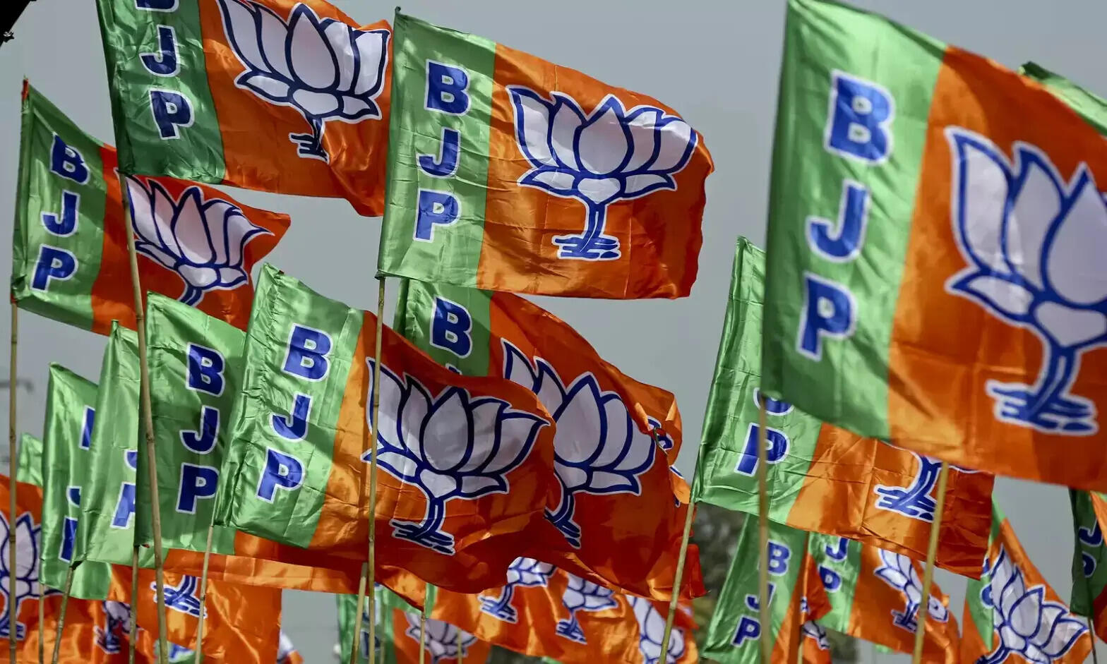 भाजपा का संगठनात्मक पतन: संघ की भूमिका और मोदी का नियंत्रण