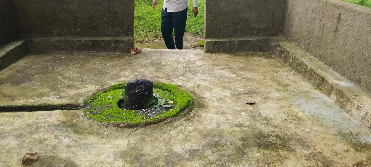 द्वादश ज्योतिर्लिंग के प्रतीक हैं बम्हणी गांव स्थित 12 शिवलिंग