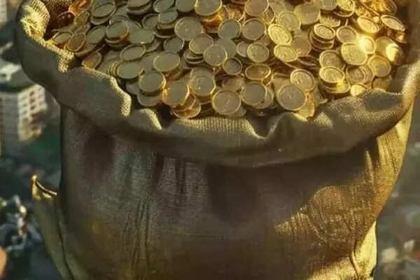 फ्रांस में बगीचे में मिली सोने की थैलियां, बदल गई एक व्यक्ति की किस्मत