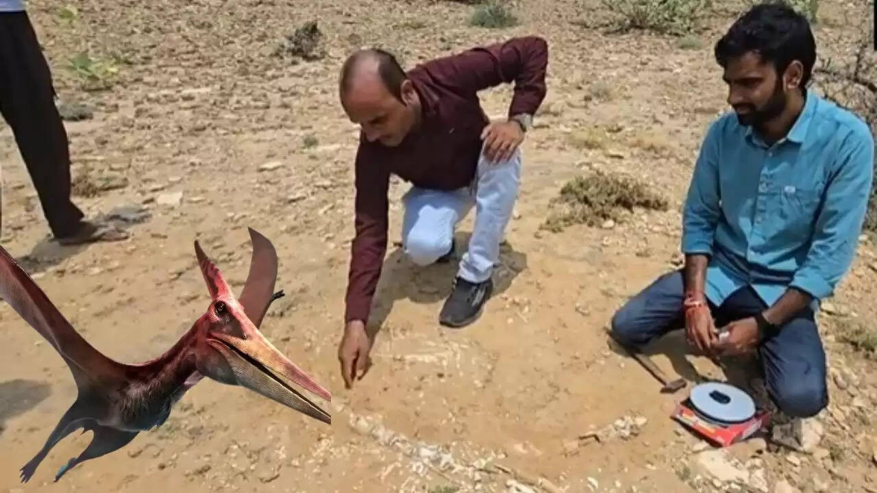 राजस्थान में डायनासोर काल के जीवाश्मों की खोज से वैज्ञानिक उत्साहित