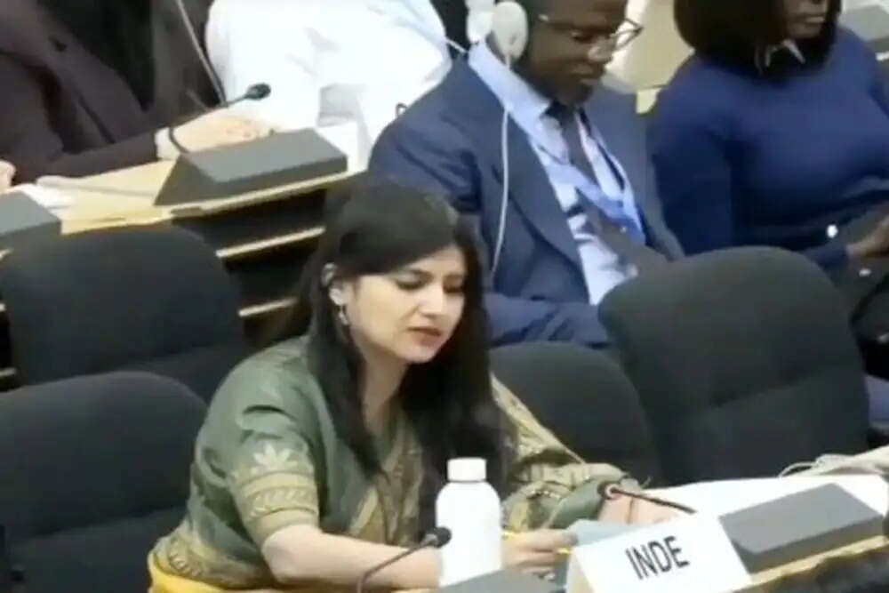 अनुपमा सिंह ने पाकिस्तान को यूएन में दिया करारा जवाब