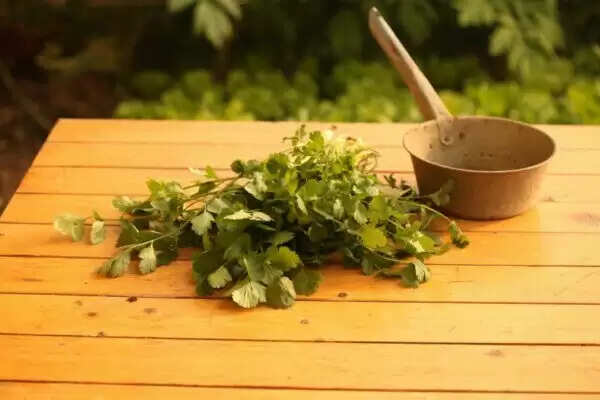 जड़ी-बूटियों के लाभ और उन्हें सुरक्षित रखने के तरीके