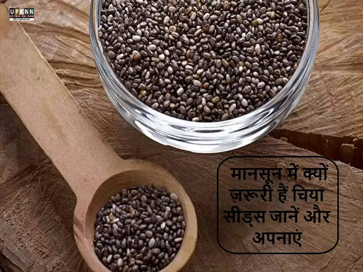मानसून में चिया सीड्स के फायदें और उपयोग के तरीके