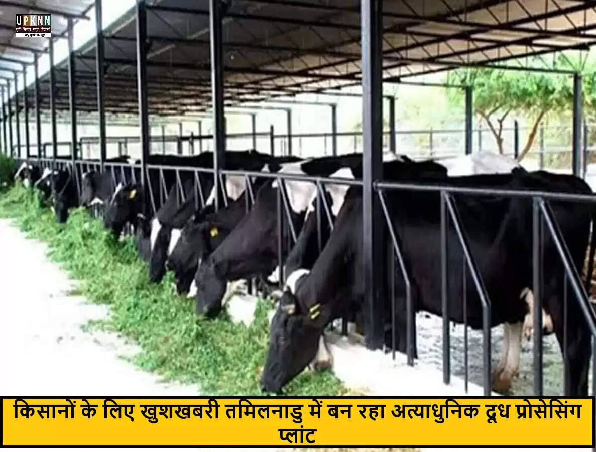 तमिलनाडु में हाई-टेक डेयरी प्लांट का निर्माण अंतिम चरण में