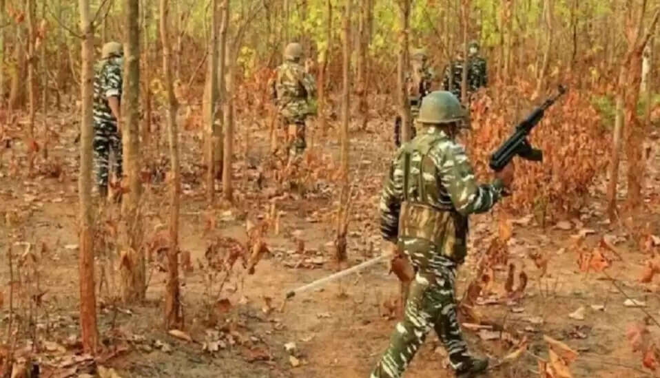 झारखंड में इस वर्ष 29 नक्सली ढेर, 16 गिरफ्तार