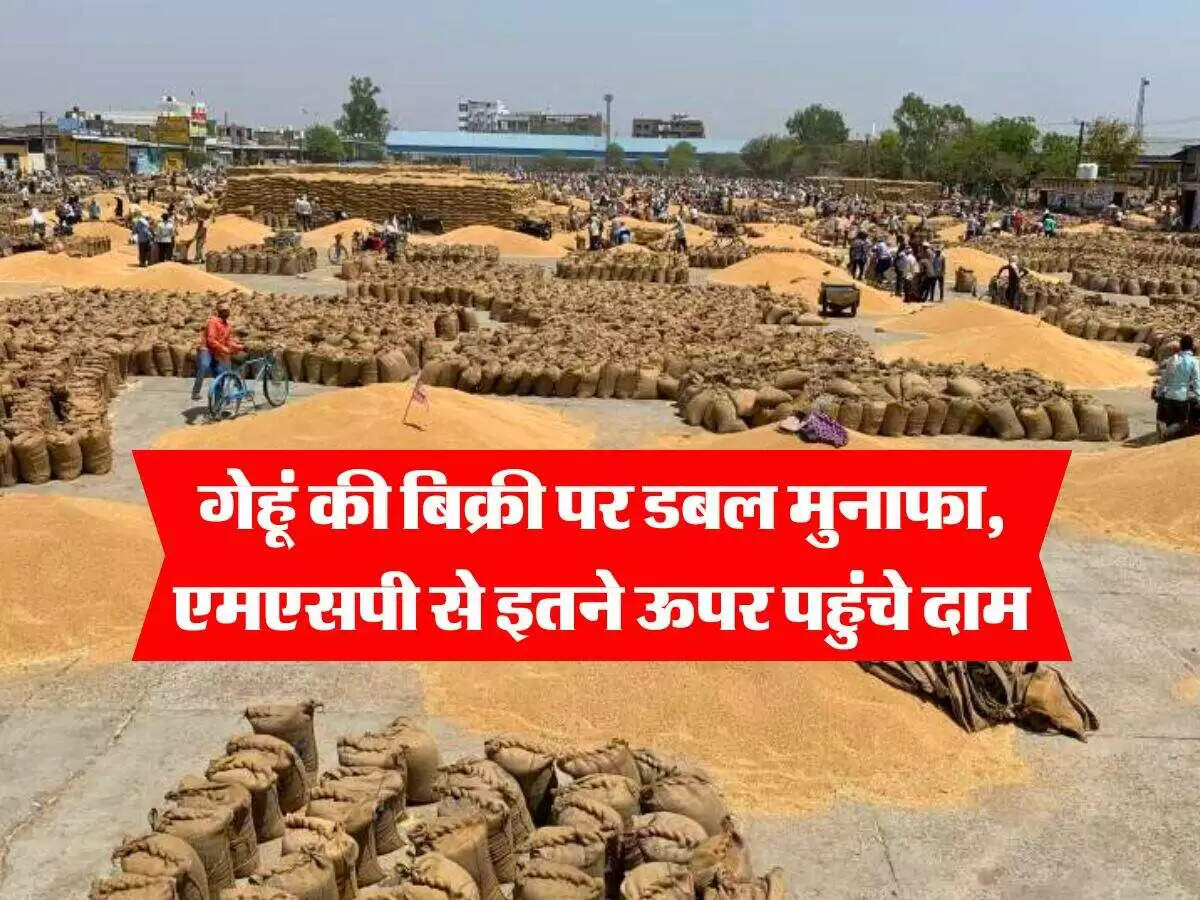 गेहूं की कीमतों में वृद्धि: किसानों को मिल रहा लाभ