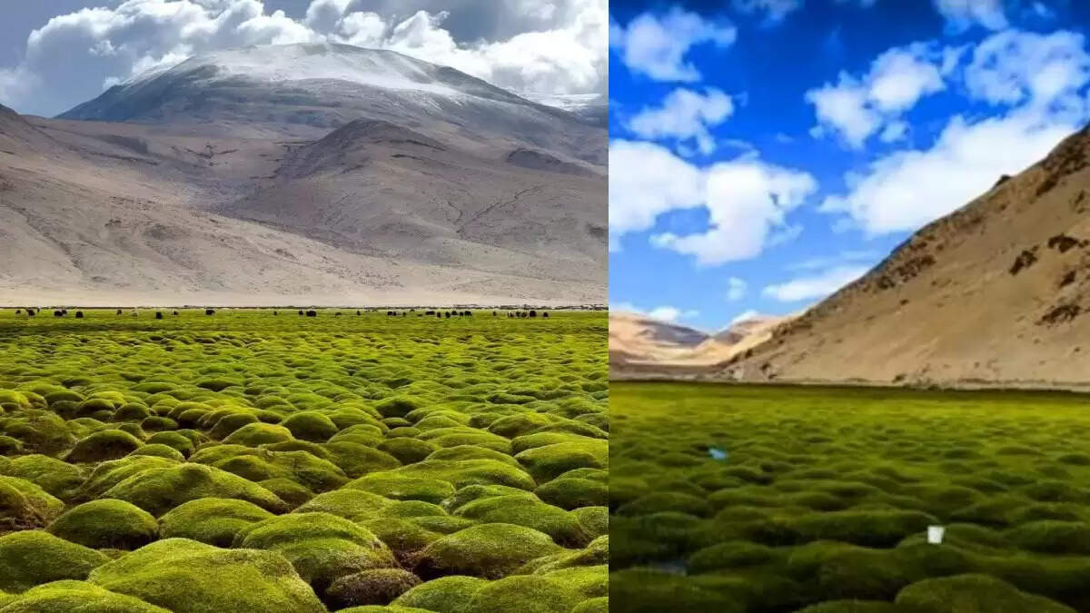 भारत की अद्भुत मानसून यात्रा स्थलों की खोज