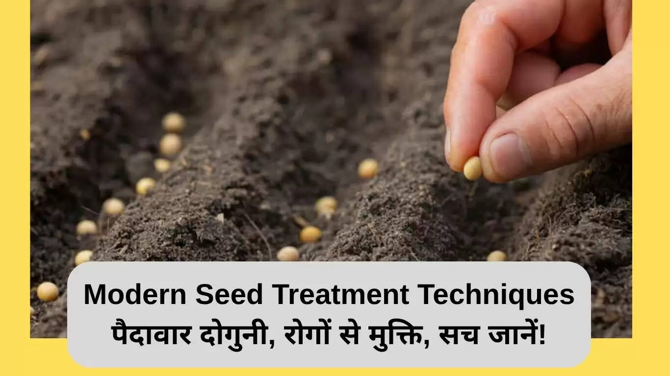 आधुनिक बीज उपचार तकनीक: पैदावार बढ़ाने और रोगों से बचाने के उपाय