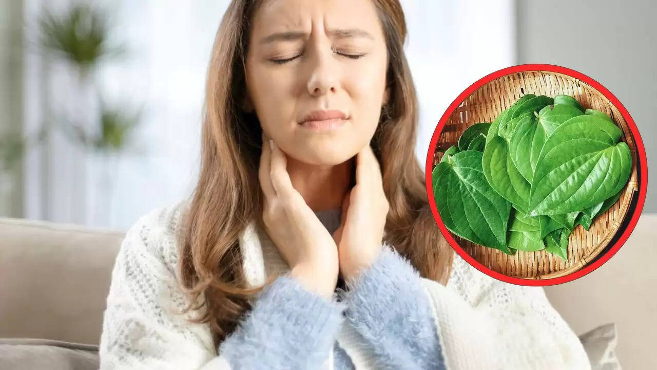 दिल्ली-NCR में प्रदूषण से राहत के लिए पान के पत्ते का उपयोग