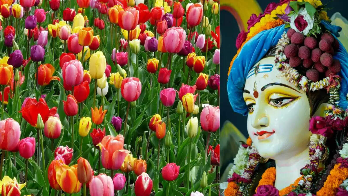 भगवान शिव की पूजा में वर्जित फूल: जानें कौन से फूल नहीं चढ़ाने चाहिए