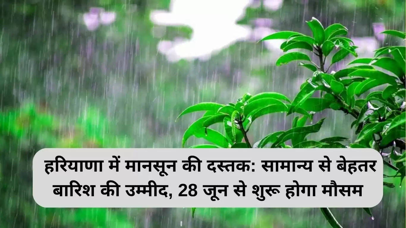 हरियाणा में मानसून की दस्तक: सामान्य से बेहतर बारिश की उम्मीद