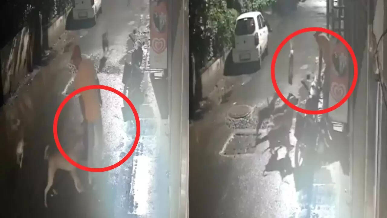 पिंपरी-चिंचवड़ में आवारा कुत्तों का हमला: युवक ने दिखाई बहादुरी