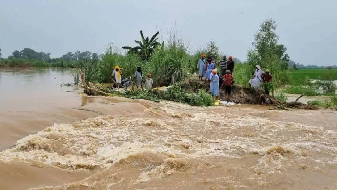 पंजाब में बाढ़ का कहर: किसानों की मेहनत बर्बाद, प्रशासन की राहत प्रयास जारी