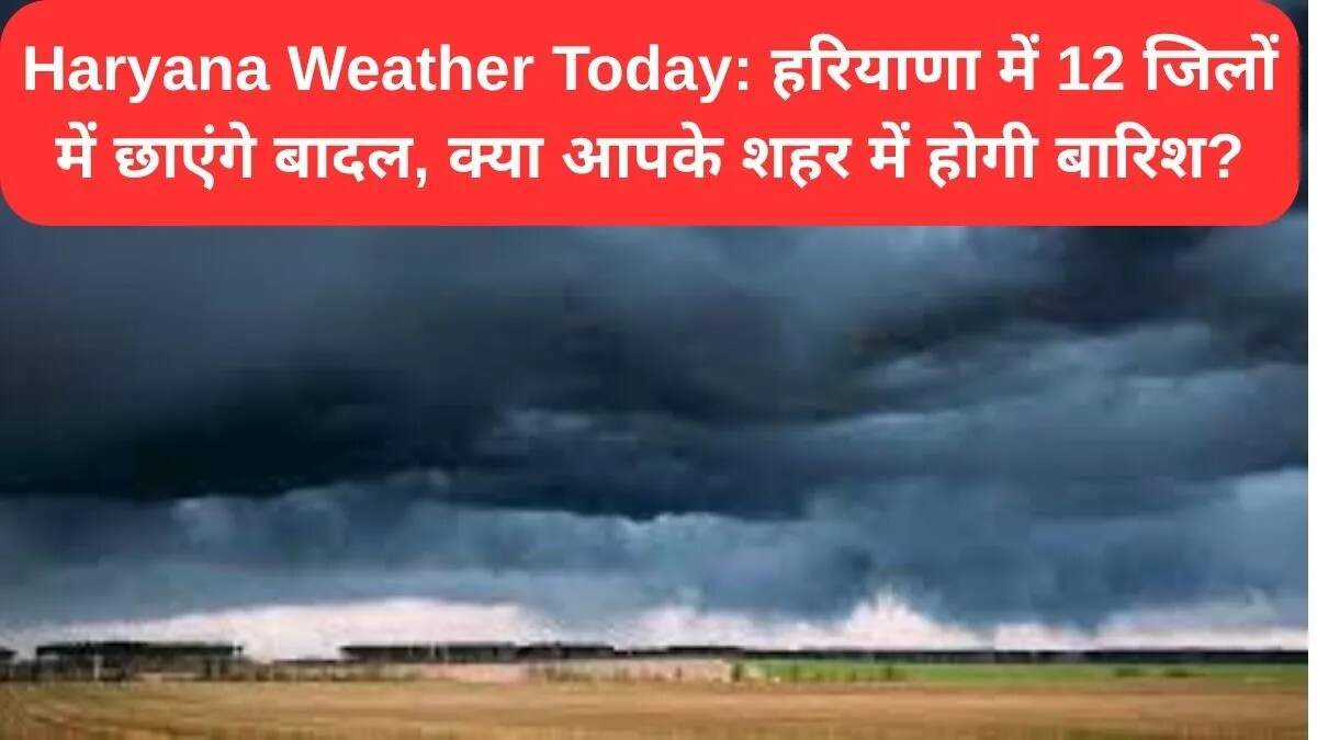 हरियाणा में बारिश का अलर्ट: 3 अक्टूबर का मौसम पूर्वानुमान