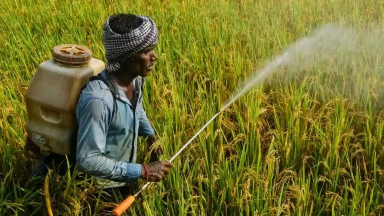 किसानों के लिए PM Kisan की 21वीं किस्त: कब मिलेगी राहत राशि?