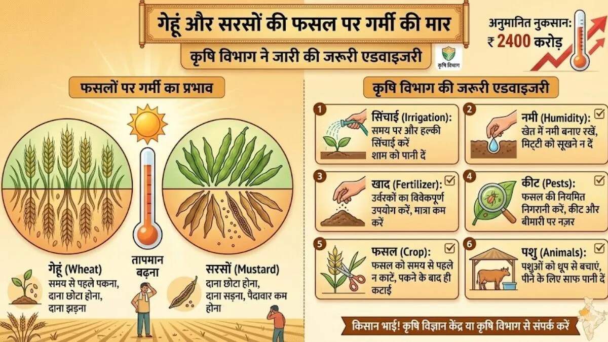 दिल्ली-एनसीआर में गर्मी का प्रकोप, किसानों के लिए मौसम की सलाह