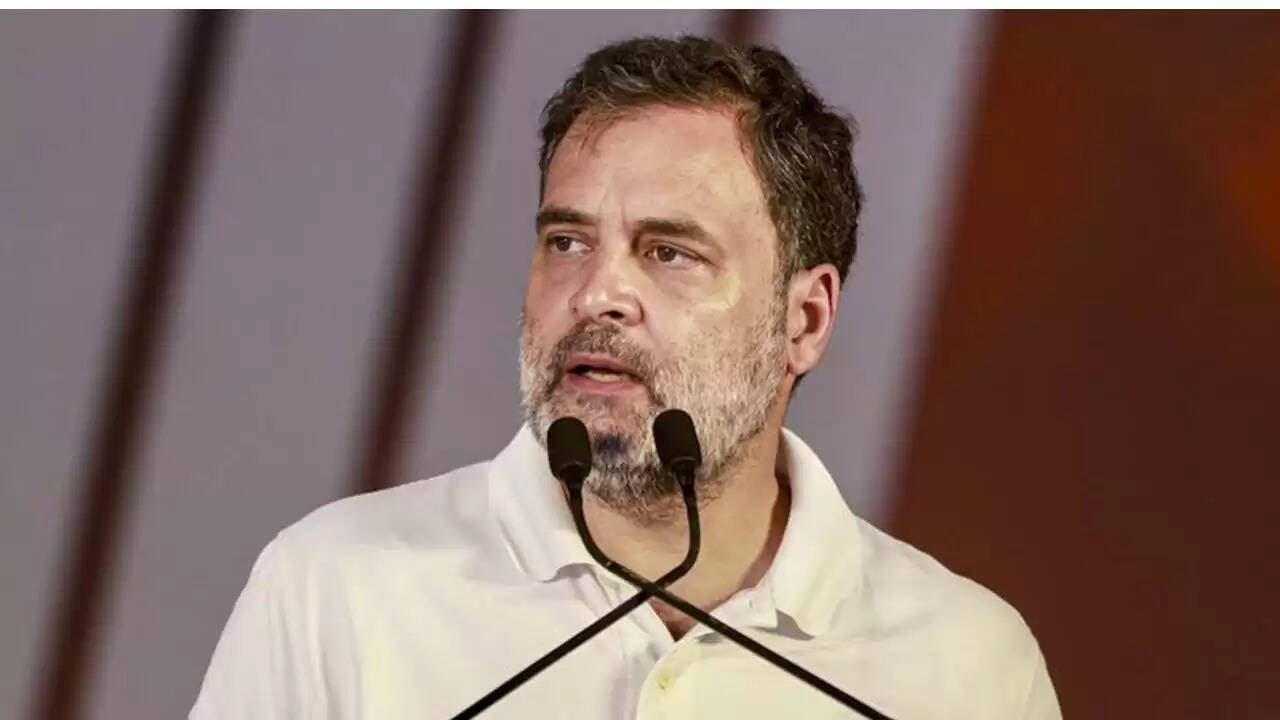 इलाहाबाद हाई कोर्ट ने राहुल गांधी पर दोहरी नागरिकता के आरोपों की जांच का दिया आदेश