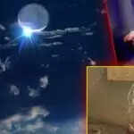 पौष अमावस्या 2025: महत्व और पूजा विधि