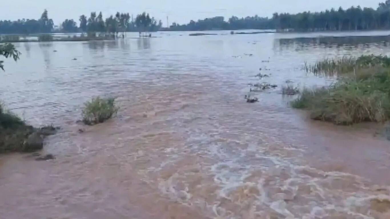 अंबाला इंडस्ट्रियल एरिया में बाढ़ का पानी घटा, सामान्य स्थिति की ओर बढ़ रहा क्षेत्र