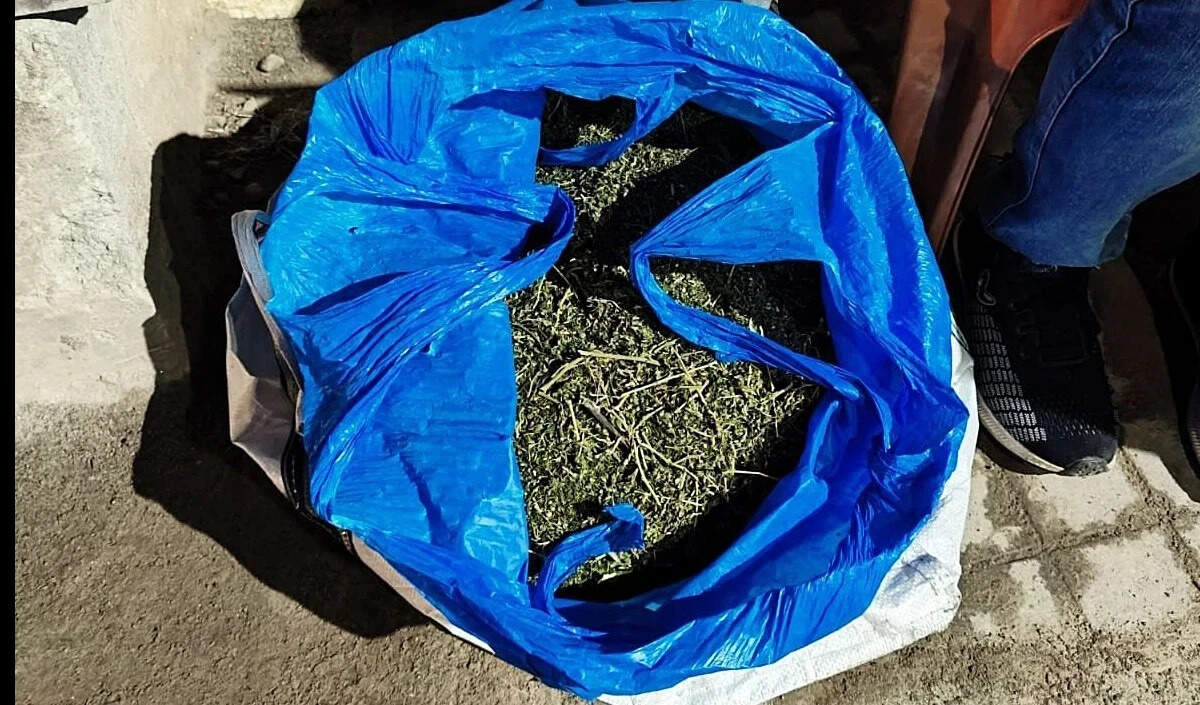 कोलंबो हवाई अड्डे पर भारतीय नागरिकों से 50 किलोग्राम गांजा बरामद