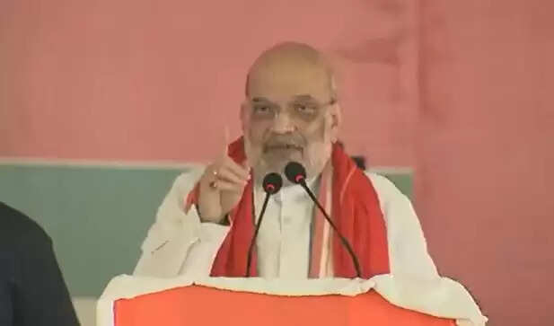 अमित शाह ने बिहार में एनडीए के समर्थन में की अपील, वर्चुअल सभा में दिए आश्वासन