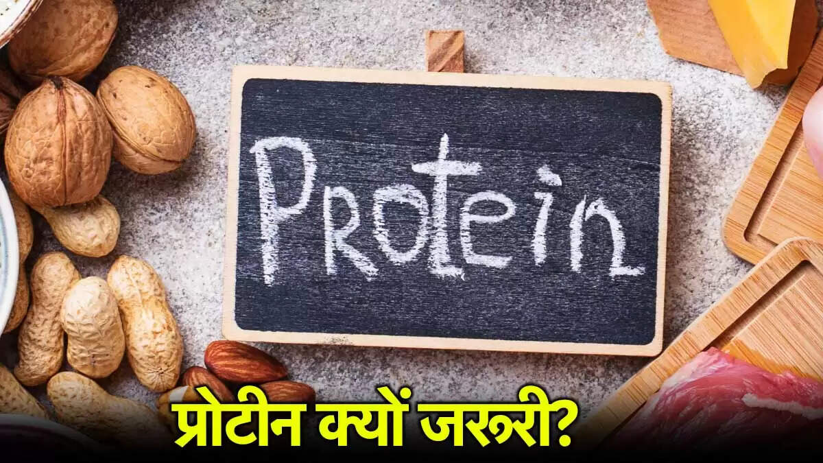 प्रोटीन की कमी: जानें इसके लक्षण और प्राकृतिक स्रोत