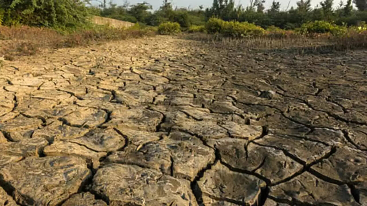 मध्य प्रदेश में जमीन विवाद ने लिया खूनी मोड़, कई घायल