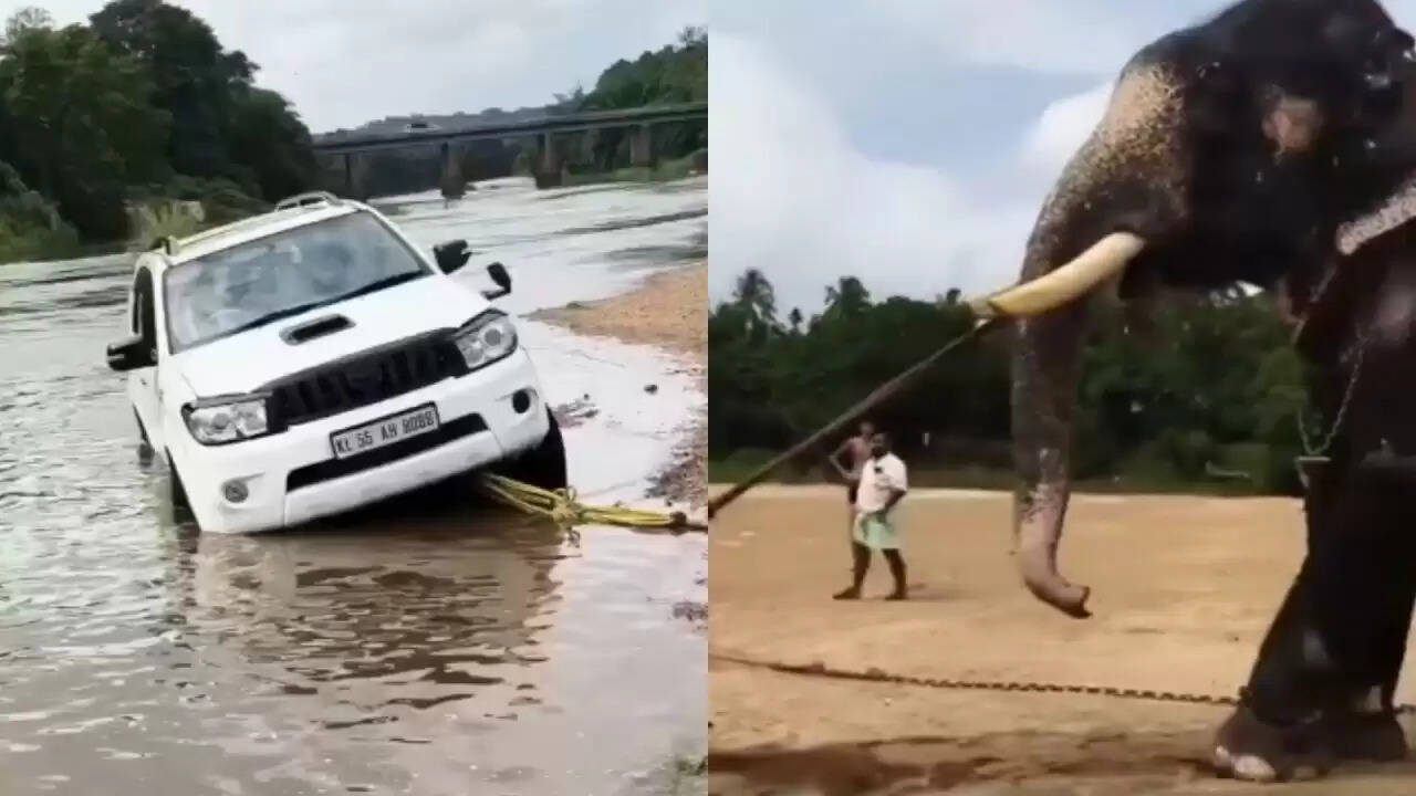 केरल में हाथी ने SUV को नदी से निकाला: सोशल मीडिया पर वायरल हुआ वीडियो