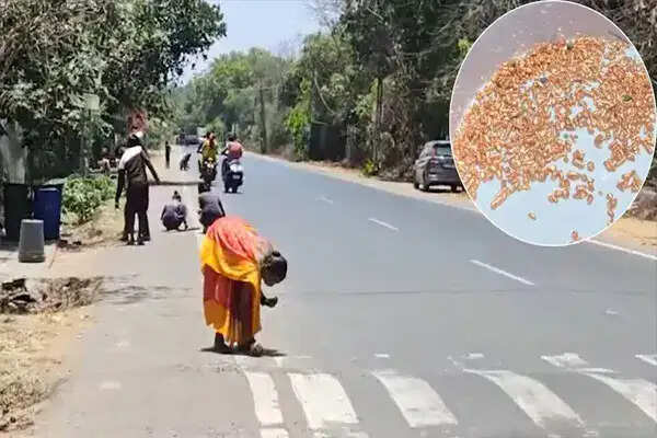 गुजरात में सड़क पर बिखरे चमकदार टुकड़ों ने मचाई अफरा-तफरी