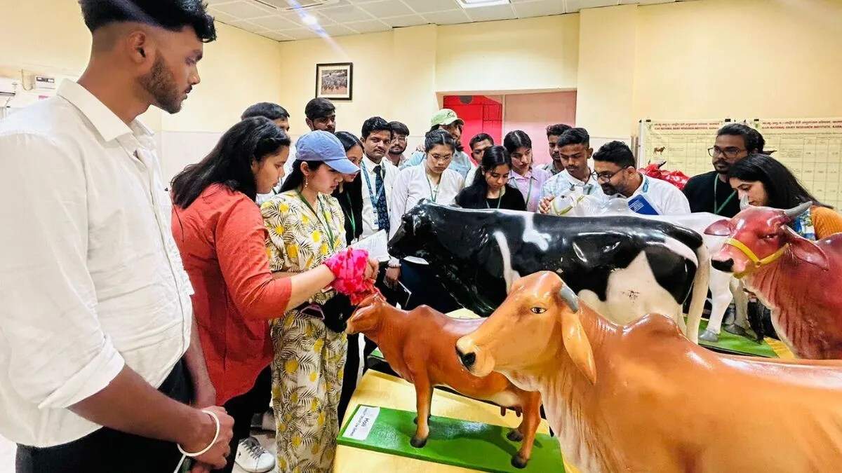 एनडीआरआई ने विकसित किया कृत्रिम पेट, पशुओं के पाचन में मिलेगी मदद