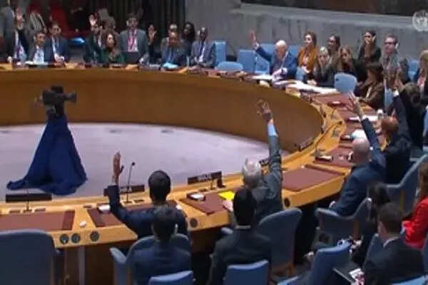 पाकिस्तान की UNSC में इजरायल से हुई तीखी बहस, ओसामा बिन लादेन का जिक्र