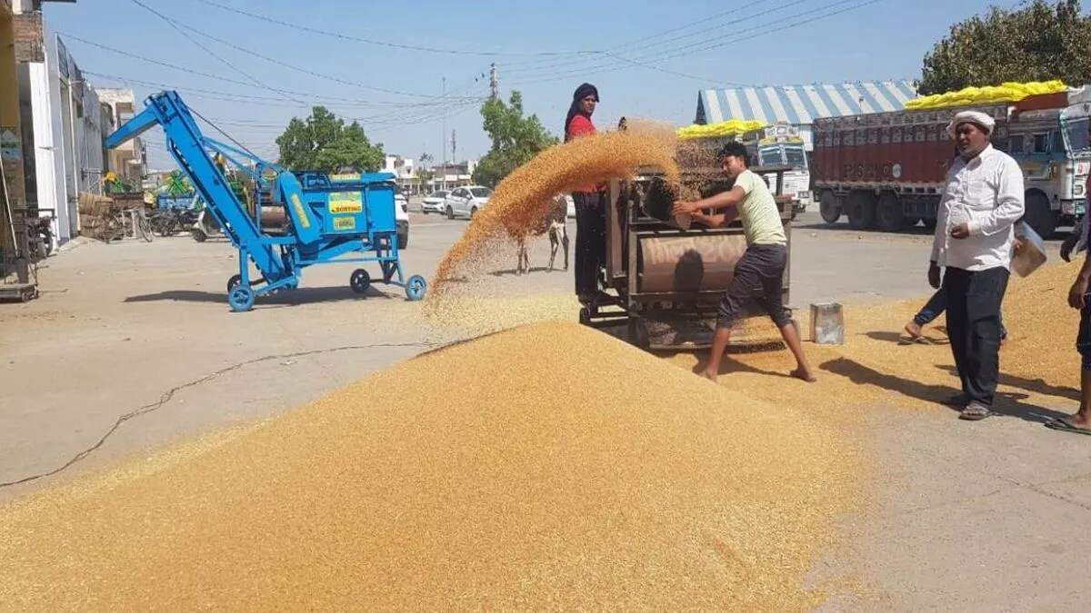 कैथल में धान खरीद में बड़ा घोटाला, जांच शुरू