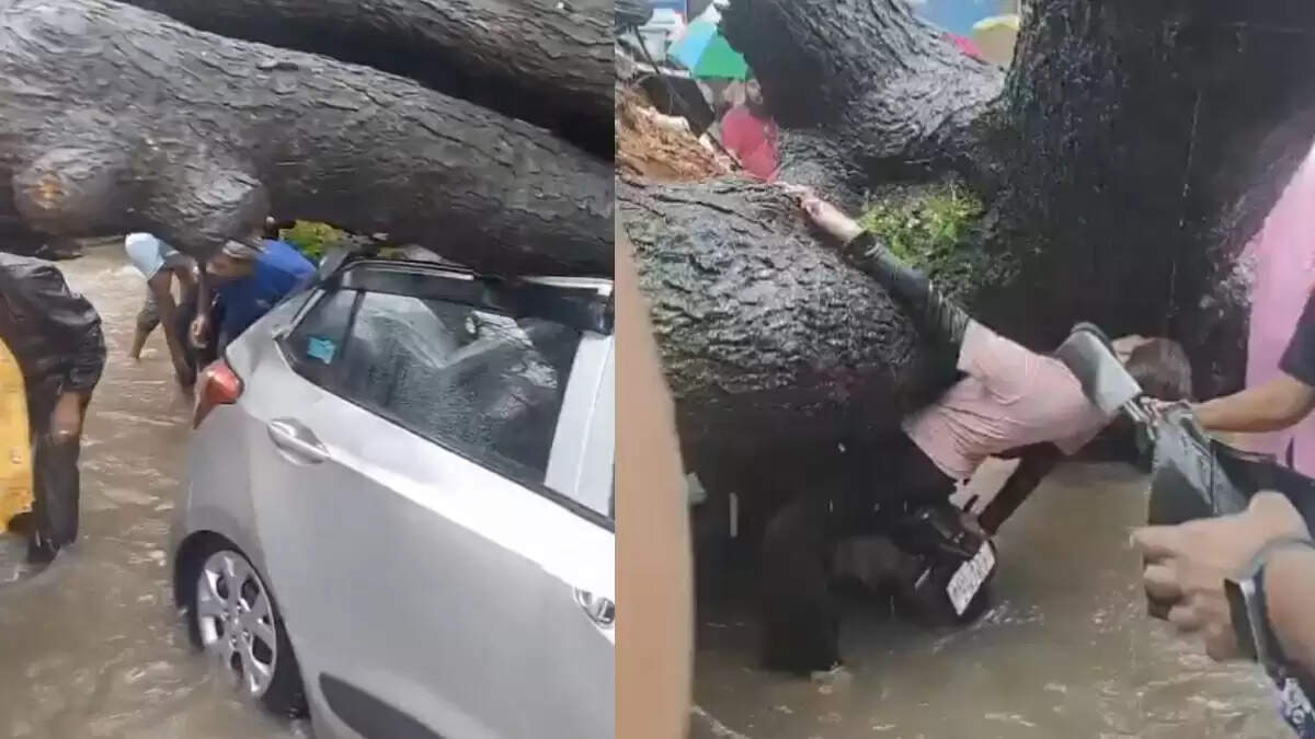 दिल्ली में बारिश के कारण पेड़ गिरने से एक व्यक्ति की मौत, दूसरा घायल