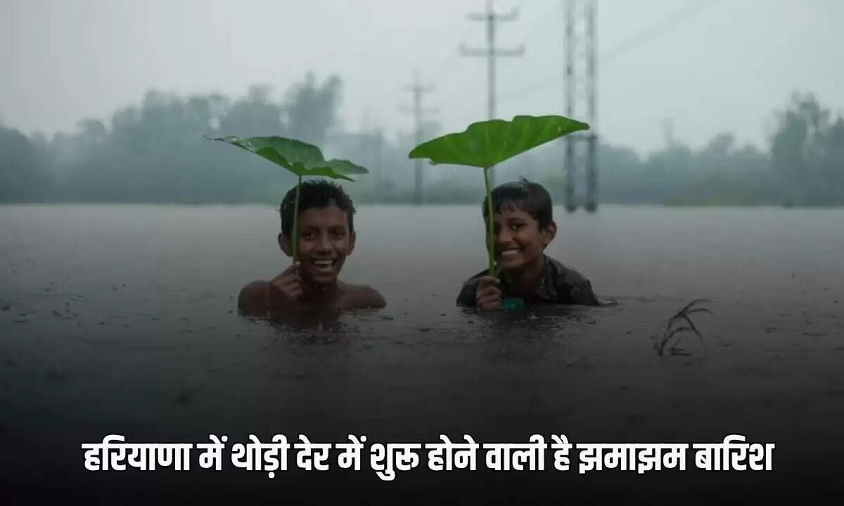 हरियाणा में बारिश का अलर्ट: 12 जिलों में मौसम में बदलाव की संभावना