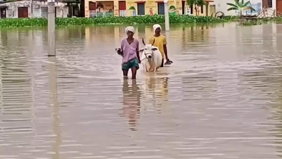 बुंदेलखंड में बाढ़ से तबाही, हजारों लोग प्रभावित