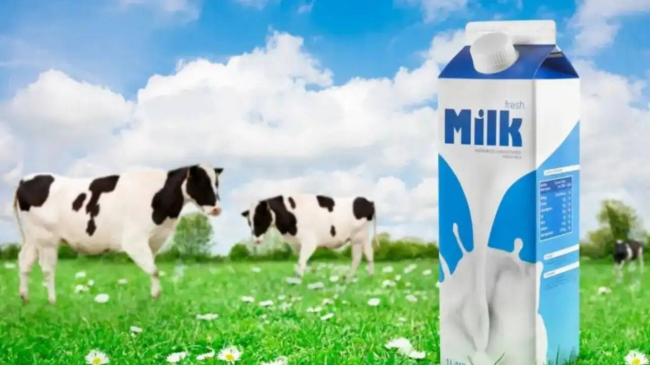 दूध में खतरनाक बैक्टीरिया की मौजूदगी: क्या हमें चिंता करनी चाहिए?