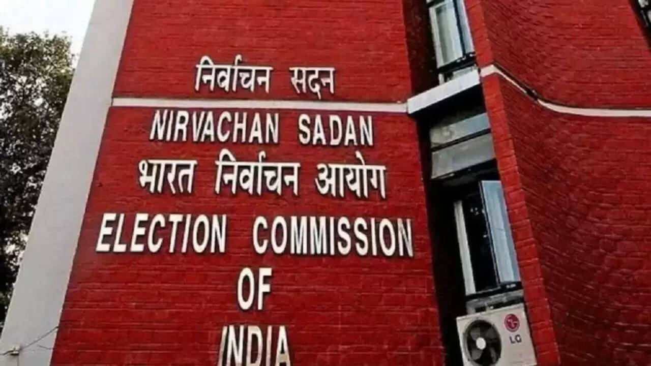 लोकसभा चुनाव 2024: चुनाव आयोग ने स्पष्ट किया मतदाता सूची में त्रुटियों का समाधान कैसे होगा