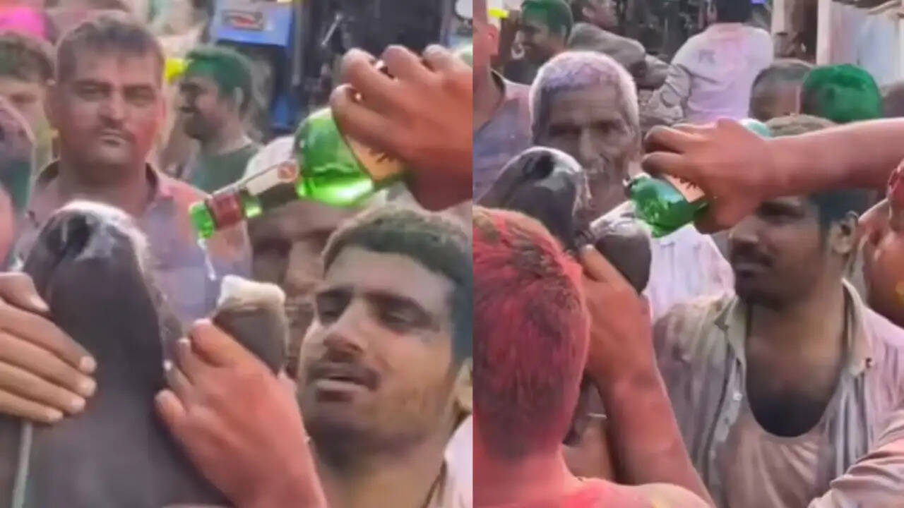 क्या होली के जश्न में गाय के साथ हुई क्रूरता ने किया सबको शर्मिंदा?