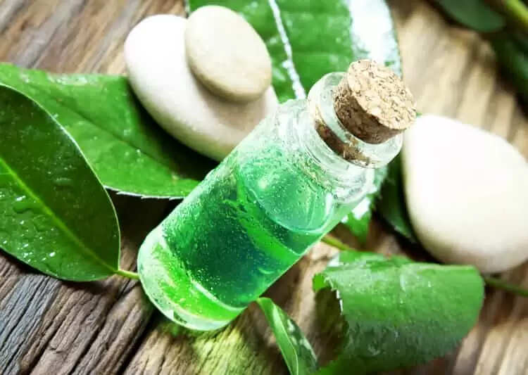 चाय के पेड़ के तेल के अद्भुत लाभ: त्वचा और स्वास्थ्य के लिए उपयोगी