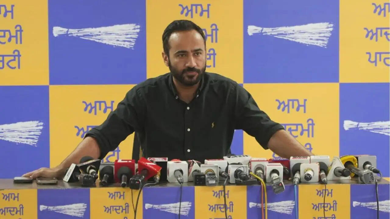 गुरमीत सिंह मीत हेयर का भाजपा पर तीखा हमला, पंजाब में लोकतंत्र की रक्षा का संकल्प