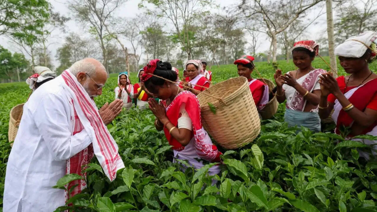 चाय बागान में पीएम मोदी का दौरा: असम की आत्मा से जुड़ी महिलाओं से की बातचीत