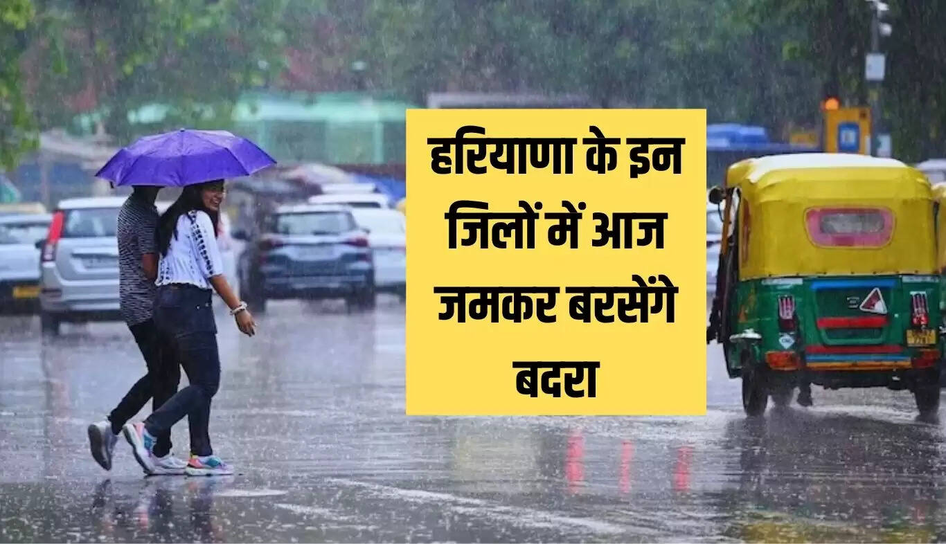 हरियाणा में मानसून की सक्रियता, भारी बारिश का अलर्ट