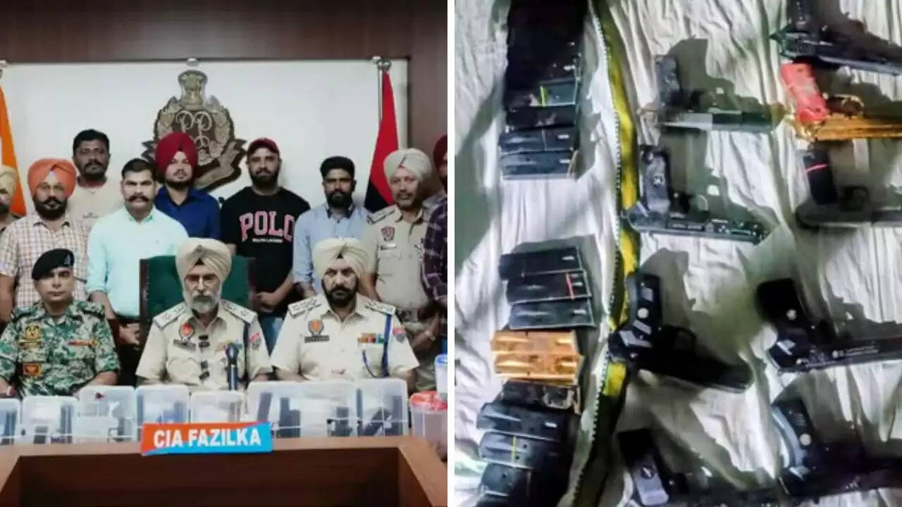 पंजाब में BSF और CIA की संयुक्त कार्रवाई से हथियार तस्करी का भंडाफोड़