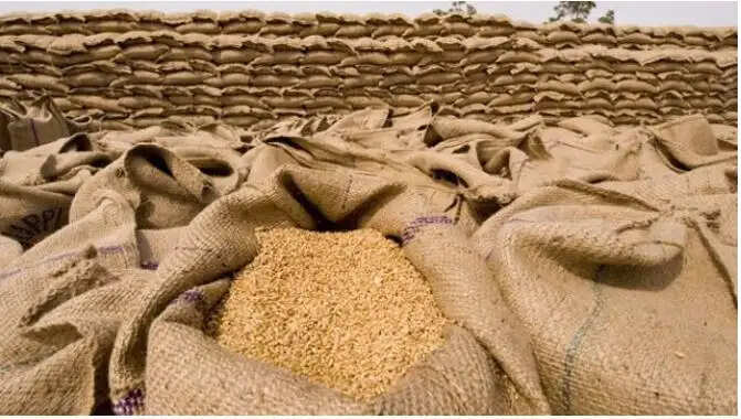 यूपी में गेहूं खरीद की प्रक्रिया शुरू, 2.24 लाख किसानों ने किया पंजीकरण