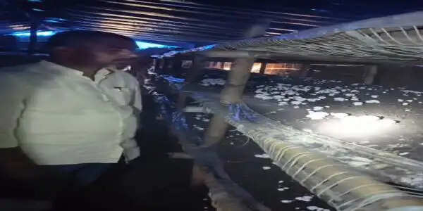 यूपी में मशरूम की खेती के प्रति बढ़ता किसानों का रुझान, अयोध्या के उत्सव ने डेढ़ लाख से खड़ा किया करोड़ों का कारोबार