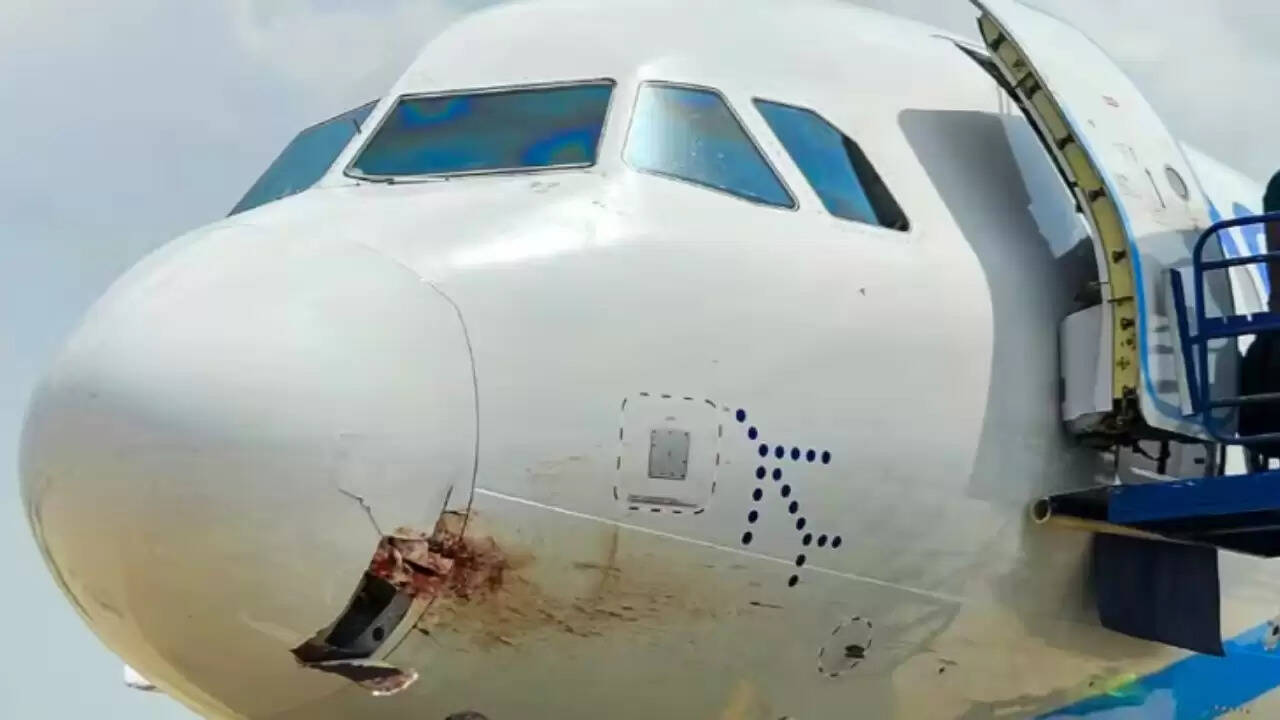 हैदराबाद में इंडिगो उड़ान का पक्षी से टकराव, सभी यात्री सुरक्षित