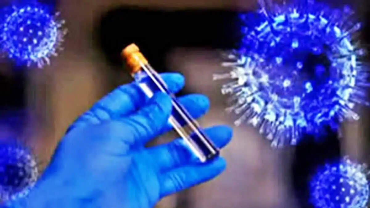 भारत में इबोला के बढ़ते मामलों पर एयरपोर्ट पर निगरानी बढ़ाई गई