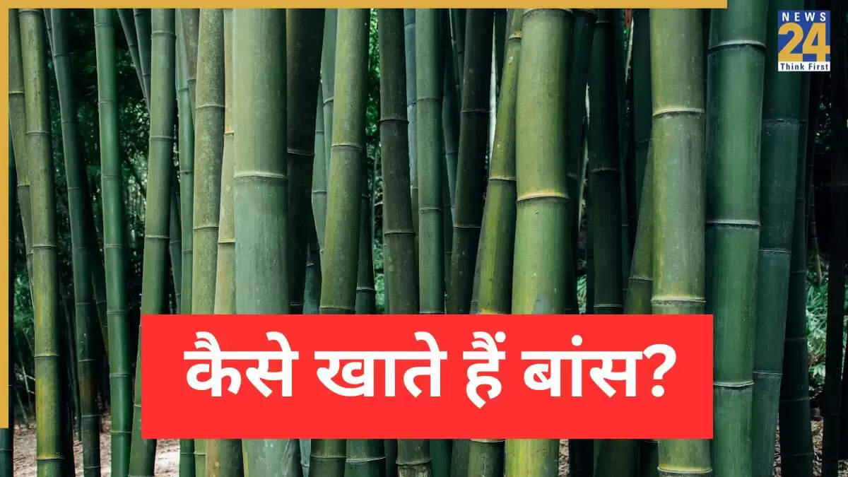 विश्व बांस दिवस 2025: बांस खाने के स्वास्थ्य लाभ और उपयोग