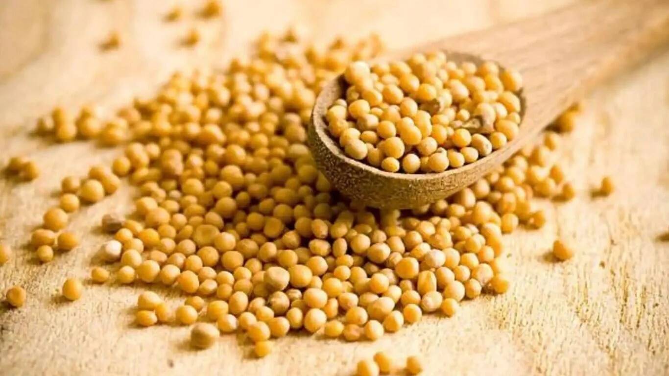 मध्यप्रदेश के किसानों के लिए एचएयू की नई सरसों की किस्में